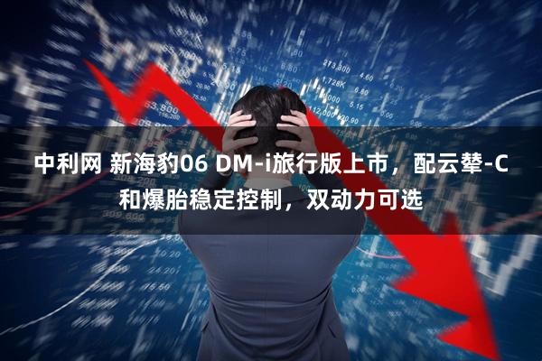 中利网 新海豹06 DM-i旅行版上市，配云辇-C和爆胎稳定控制，双动力可选