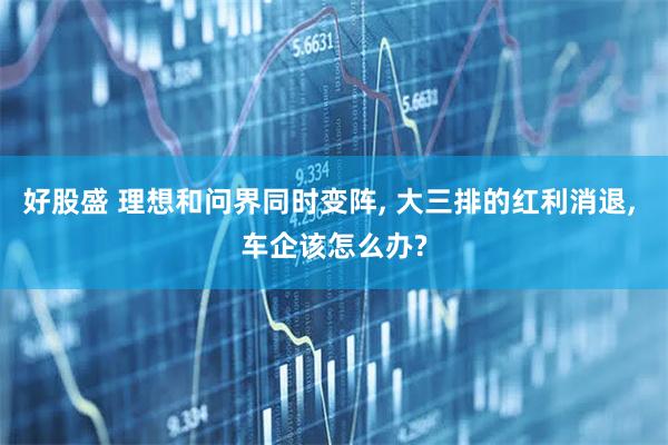 好股盛 理想和问界同时变阵, 大三排的红利消退, 车企该怎么办?